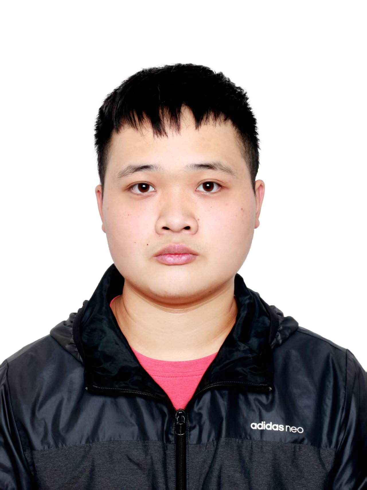 罗钧译